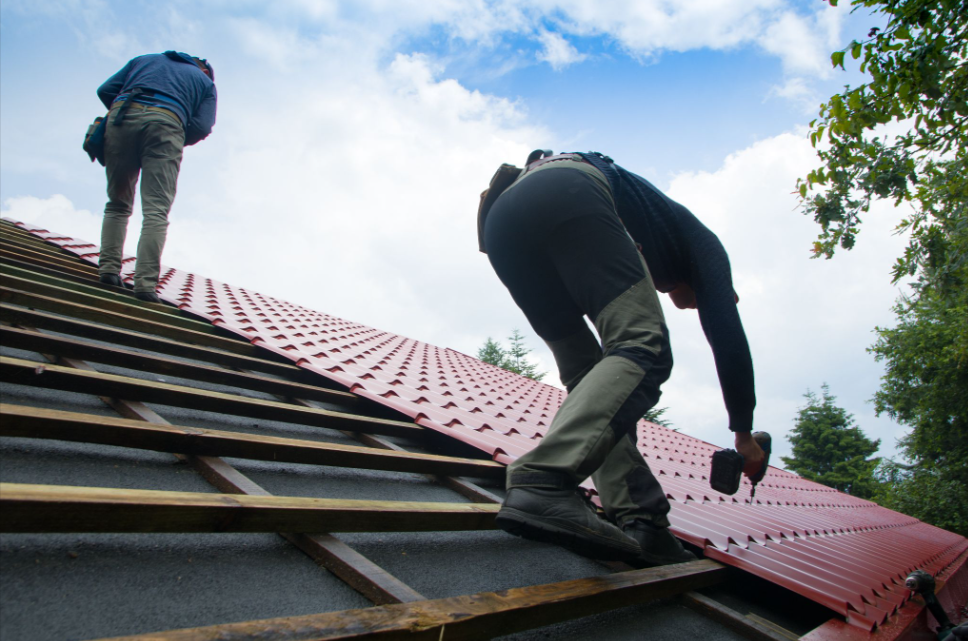 Two roofing professionals fastening new shingles with a drill during roof replacement